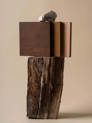 Próbki kolorów drewna bukowego