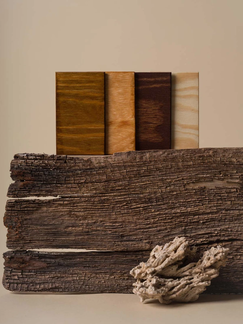 Próbki kolorów drewna sosnowego