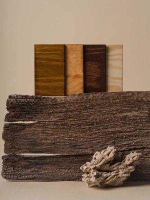 Próbki kolorów drewna sosnowego